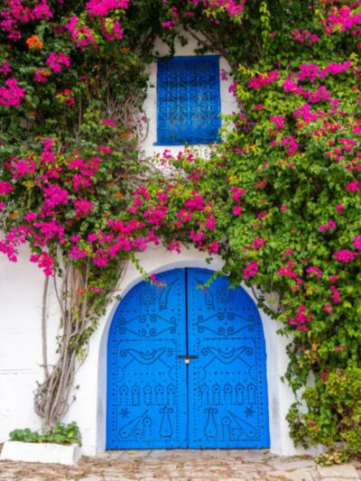 Immobilier