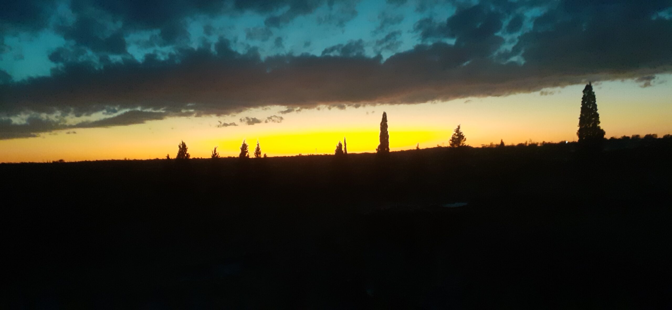 2900 metre carrees agricole + maison contenporaine en cours de construction + titre individuel et steg