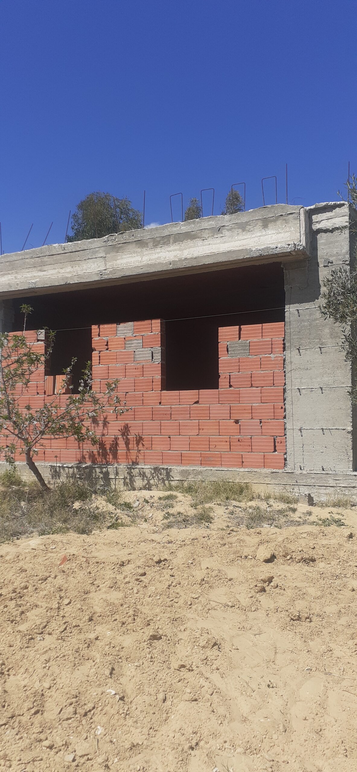 2900 metre carrees agricole + maison contenporaine en cours de construction + titre individuel et steg