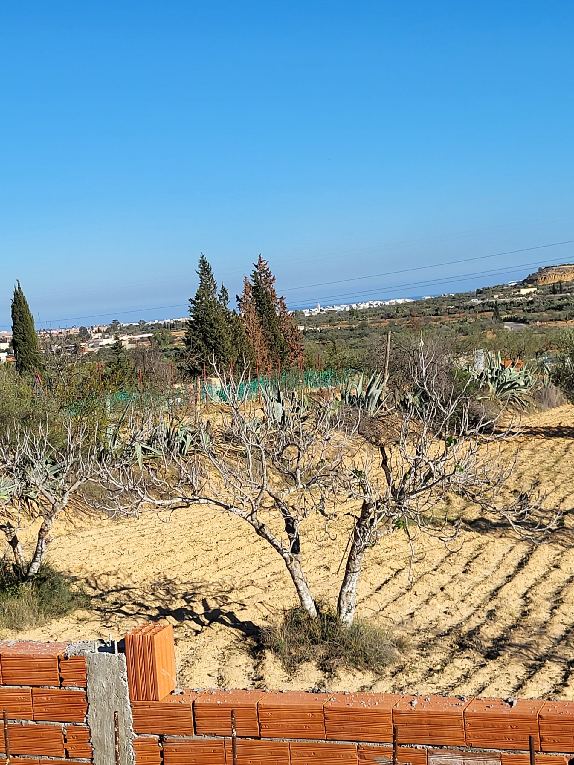 2900 metre carrees agricole + maison contenporaine en cours de construction + titre individuel et steg